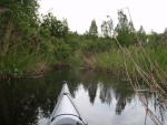 naarajoki05.jpg