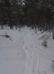 8.1.2017 ylhäällä Laivossa