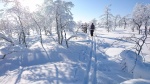 Pahakuruun