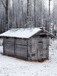 20221126_120415.jpg