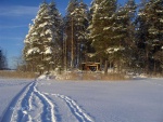 Kaijansaaren laavulle