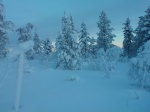 WP_000659.jpg