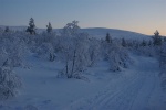 Kohti Niilanpäätä