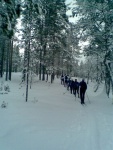Vellinsärpimään 2007